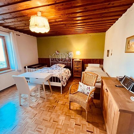 Familienapartments Mit Balkon Und Garten Ober-Lembach ภายนอก รูปภาพ