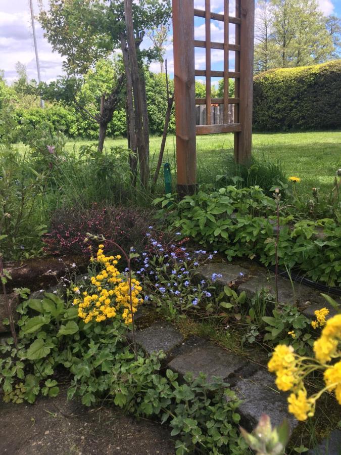 Familienapartments Mit Balkon Und Garten Ober-Lembach ภายนอก รูปภาพ