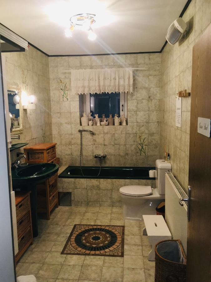 Familienapartments Mit Balkon Und Garten Ober-Lembach ภายนอก รูปภาพ