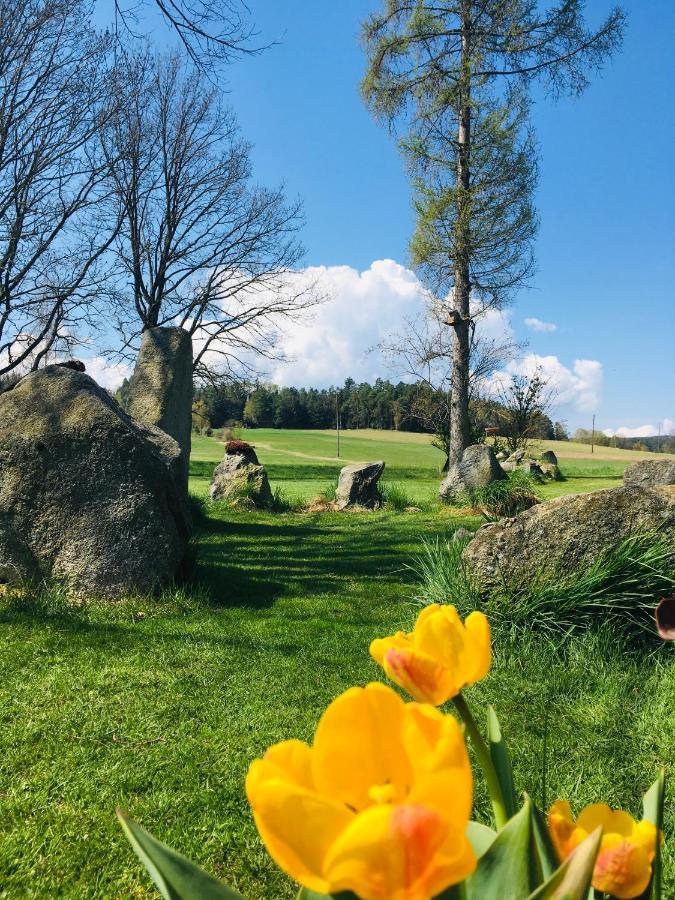 Familienapartments Mit Balkon Und Garten Ober-Lembach ภายนอก รูปภาพ