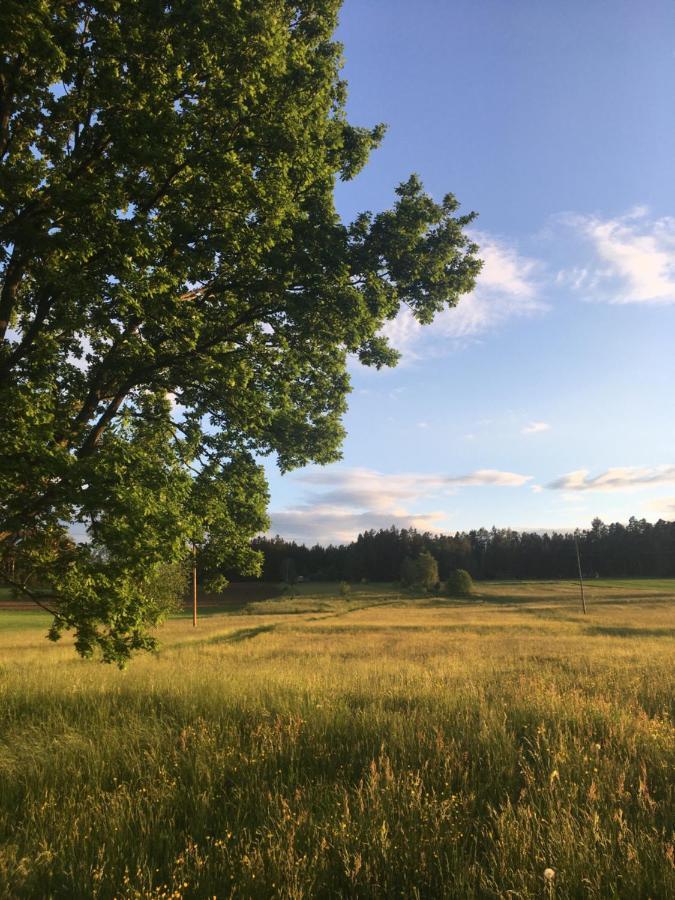 Familienapartments Mit Balkon Und Garten Ober-Lembach ภายนอก รูปภาพ